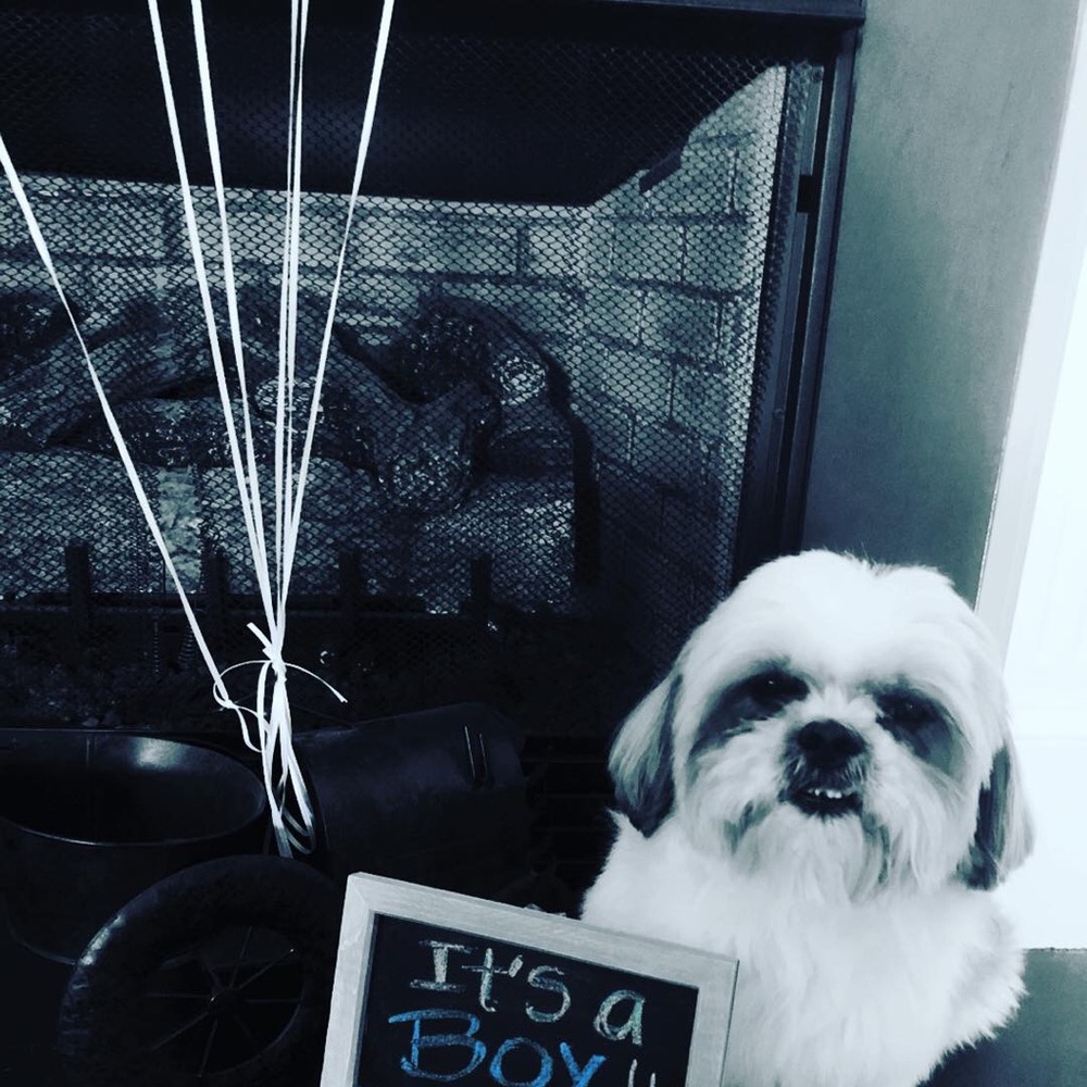 Meet your Posher, Carol